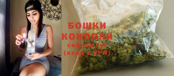 МДПВ Краснослободск