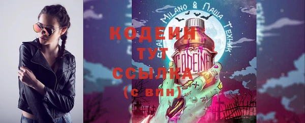МДПВ Краснослободск