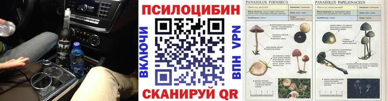 что такое   мега   Псилоцибиновые грибы прущие грибы  Усолье 