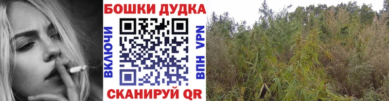 Шишки марихуана семена  Усолье 